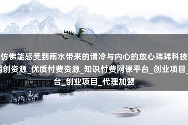 仿佛能感受到雨水带来的清冷与内心的放心玮玮科技网-综合网创资源_优质付费资源_知识付费网课平台_创业项目_代理加盟