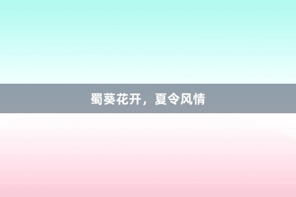 蜀葵花开，夏令风情