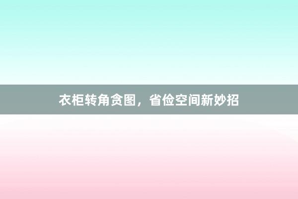 衣柜转角贪图，省俭空间新妙招