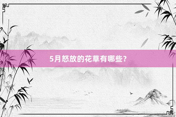 5月怒放的花草有哪些？