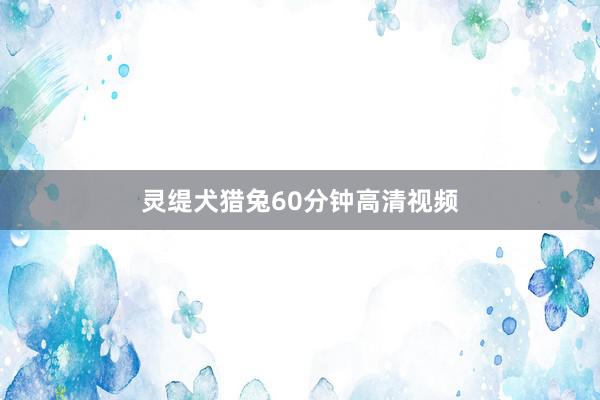 灵缇犬猎兔60分钟高清视频