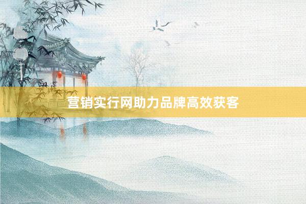 营销实行网助力品牌高效获客